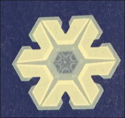 Comment appelle-t-on cette forme de flocon ?