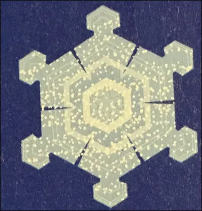 Comment appelle-t-on cette forme de flocon ?