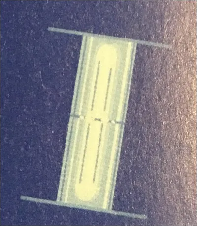 Comment appelle-t-on cette forme de flocon ?