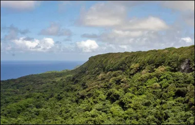 Climat - Le climat des îles Tonga est :