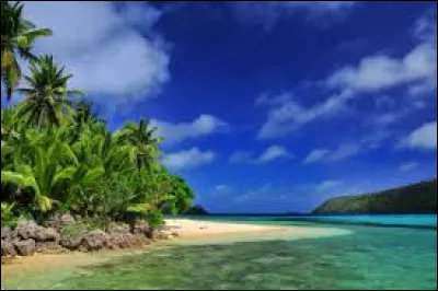 Histoire - Le premier contact entre Européens et Tongiens se réalise :