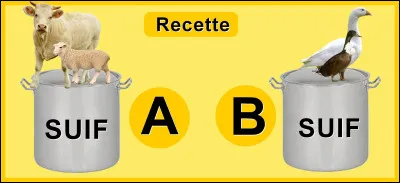 Quelle graisse animale faut-il pour obtenir du suif ?