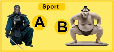 Quel sport a besoin d'un dohyo ?