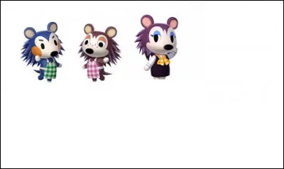 Elles tiennent une boutique, laquelle ?