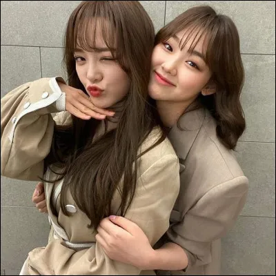 De quel groupe font-elles partie ?