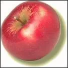 Quel est le nom de ce fruit ?