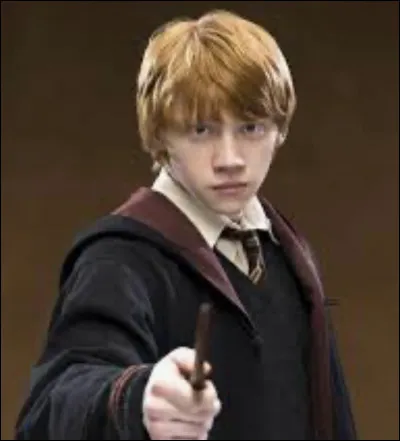 Comment s'appelle l'arbre contre lequel Harry et Ron s'écrasent en voiture volante ?