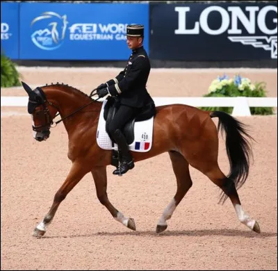 Combien existe-il de types de reprise de dressage ?