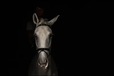 La rectitude c'est un cheval qui a la possibilité d'exécuter avec aisance des mouvements tout en restant "droit".