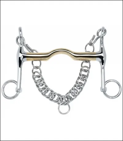 Le mors de bride agit sur :