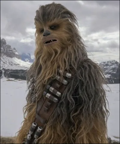 Dans les "Star Wars", comment s'appelle le personnage poilu qui accompagne Han Solo dans son périple ?