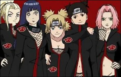 Qu'est-ce que l'Akatsuki ?