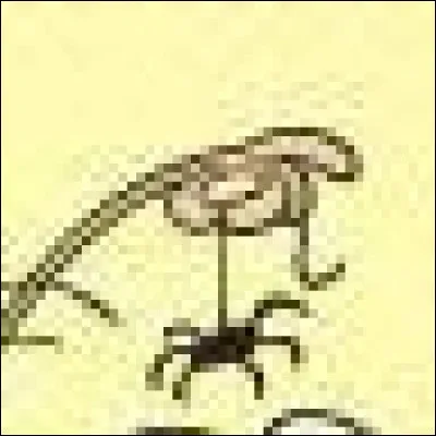 Qui a peur des araignées ?