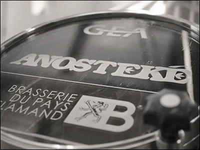 En 2016, la 'brasserie du Pays flamand' basée à Blaringhem, a vu l'une de ses productions, élue meilleure bière de garde du monde aux « World Beer Awards », un concours anglais. 
Pour laquelle de ses bières ?