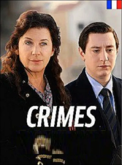 Quelle est cette série en cours depuis 2017 qui met en scène un duo d'enquêteurs qui cherche la faille dans un plan imaginé par un tueur qu'il estime parfait ?