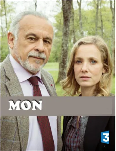 Quelle est cette série en cours depuis 2013 qui met scène un juge d'instruction en retraite aidant une jeune capitaine de la police judiciaire à résoudre des énigmes ?