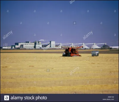 Quelle est la capitale du Quintana Roo ?
