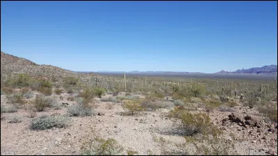 Quelle est la capitale du Coahuila ?