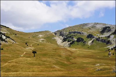 Quelle est la capitale du Nuevo León ?