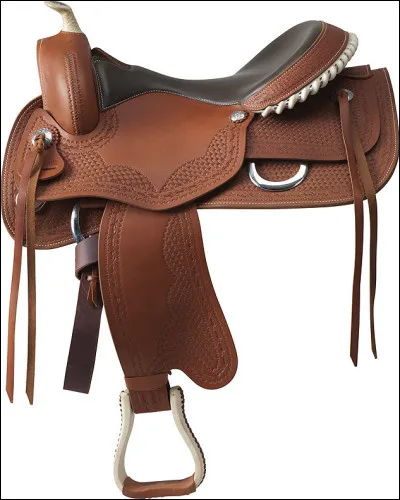 Comment s'appelle cette selle ?