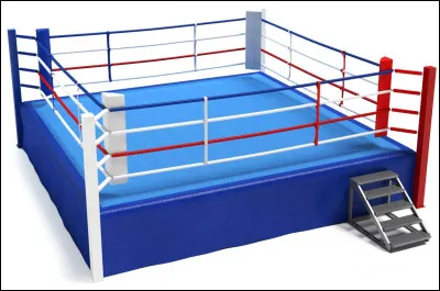 Comment appelle-t-on l'espace carré où l'on pratique la boxe ?
