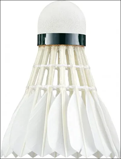 Comment s'appelle l'objet avec lequel on joue au badminton ?