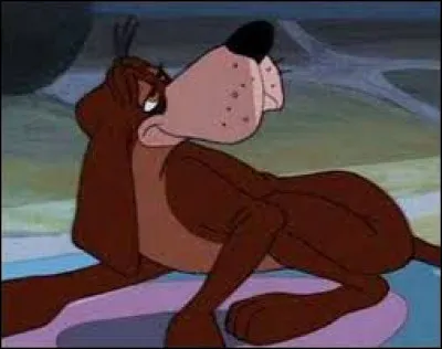 Encore un chien ! Qui est-ce ?