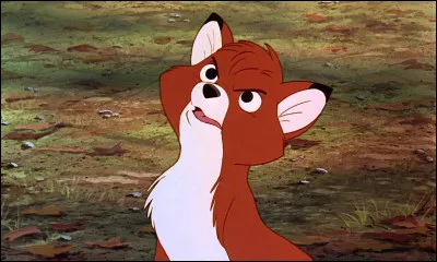 Quel est le nom de ce renard au beau pelage ?