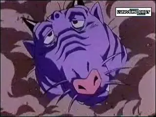 Quel souhait l'a cre ?