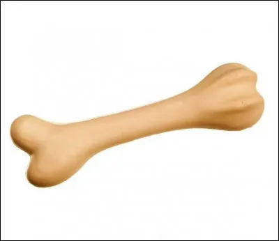 Où trouve-t-on l'os ? (Hormis au Port-Barbouille)