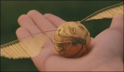 Quel est cet objet ?