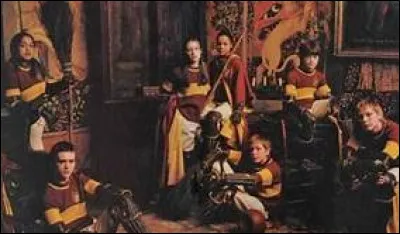 À quel poste joue-t-elle dans l'équipe de quidditch de sa maison ?