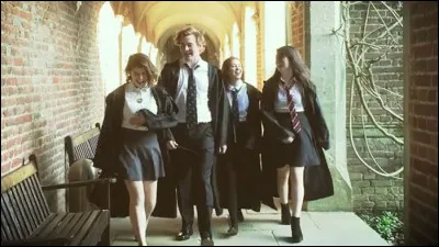 Après la mort de Dumbledore qui devient le nouveau "dirigeant" de Poudlard ?