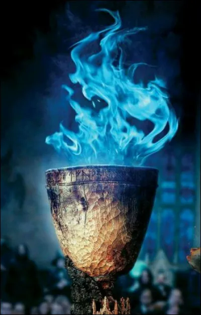 Avec qui Harry Potter va-t-il au bal de Noël du Tournoi des 3 Sorciers ?