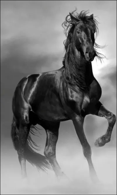 Quelle est cette robe ?