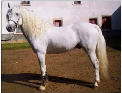 Quelle est cette robe ?