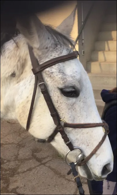 Quelle est cette robe ?