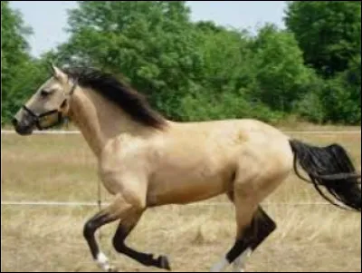 Quelle est cette robe ?