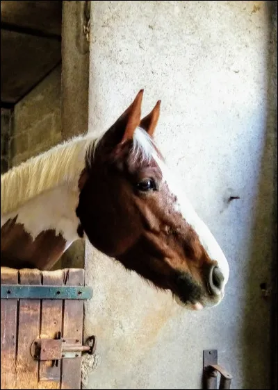 Quelle est cette robe ?