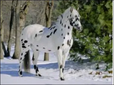 Quelle est cette robe ?