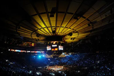 Le concert montré est censé être son dernier. Quelle salle remplit-il pour l'occasion ?