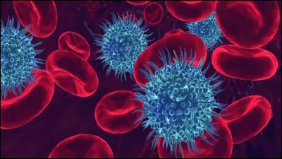 Maxime est porteur ___ du Covid-19.