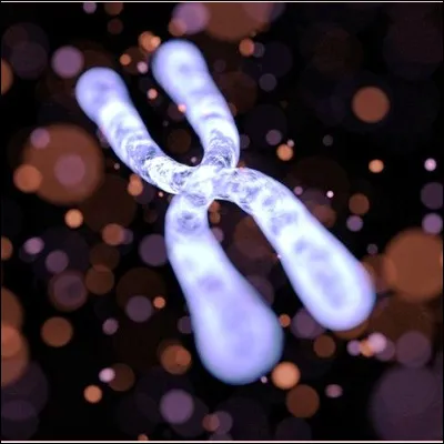 &Agrave; quel type de mol&eacute;cules organiques appartiennent les histones, constituants importants des chromosomes ?