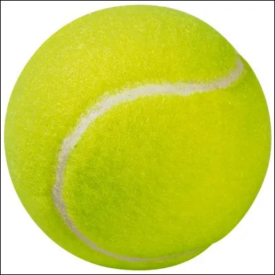 Quel est le premier tennisman noir &agrave; avoir remport&eacute; un tournoi du Grand Chelem ?