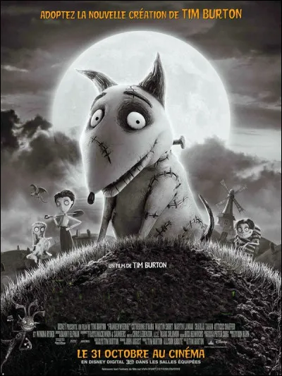 Quel est le titre de ce film d'animation ?