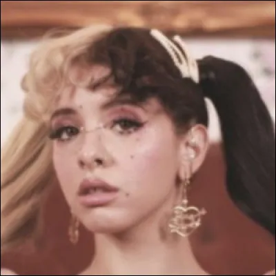 Pourquoi avait-elle voulu avoir les cheveux bicolores ?