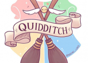 Test Quel poste de quidditch as-tu ?