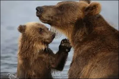 À quel Disney correspond cette image ?