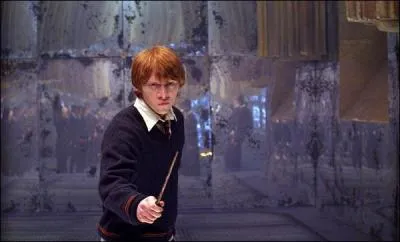 De quel Film des Harry Potter est issue cette image ?