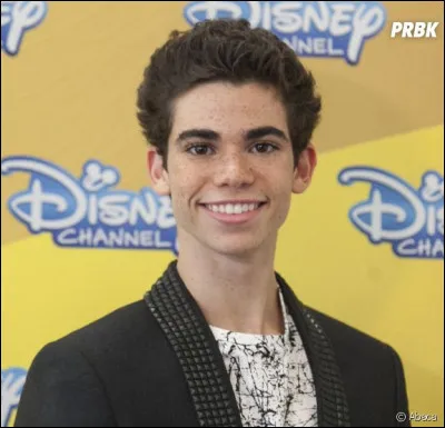 De quoi est-il mort ?